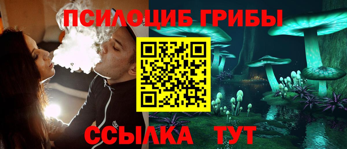 Качканар  цена наркотик  Псилоцибиновые грибы GOLDEN TEACHER  Вход с VPN  Псилоцибиновые грибы Magic Shrooms 
